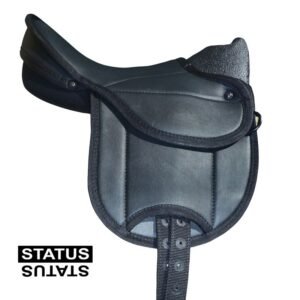 SILLA STATUS NIÑO AGARRADERO